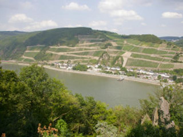                                     &raquo;View from the Schweizerhaus down to the rhine valley&laquo;
                                            
