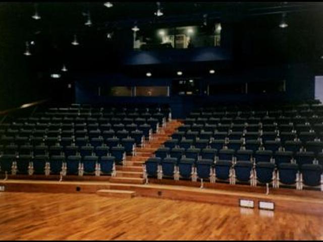                                     &raquo;the theatre&laquo;
                                            
