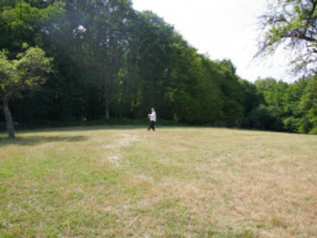                                     &raquo;Scamp marks the spot where the main party tent will be located&laquo;
                                            