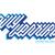 Logo for Silly Venture 2023 WE