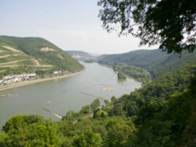                                     »View from the Schweizerhaus down to the rhine valley«
                                            