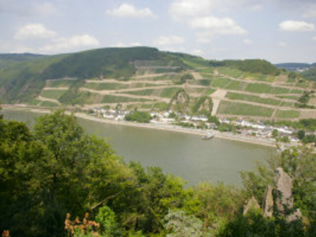 &laquo;View from the Schweizerhaus down to the rhine valley&raquo; by 