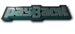 Logo for Payback 2013